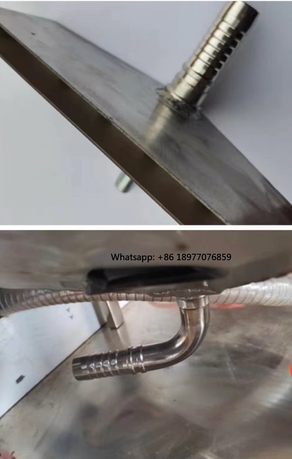 Nuova Macchina Automatica Elet - Spring Roll Wrapper recensione e prezzo